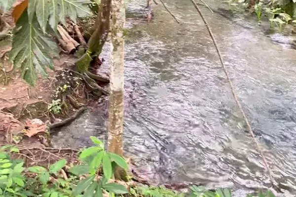 Venture River