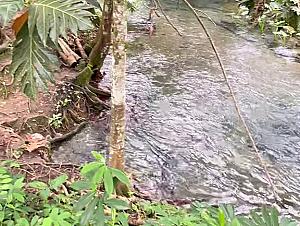 Venture River
