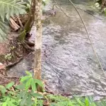 Venture River