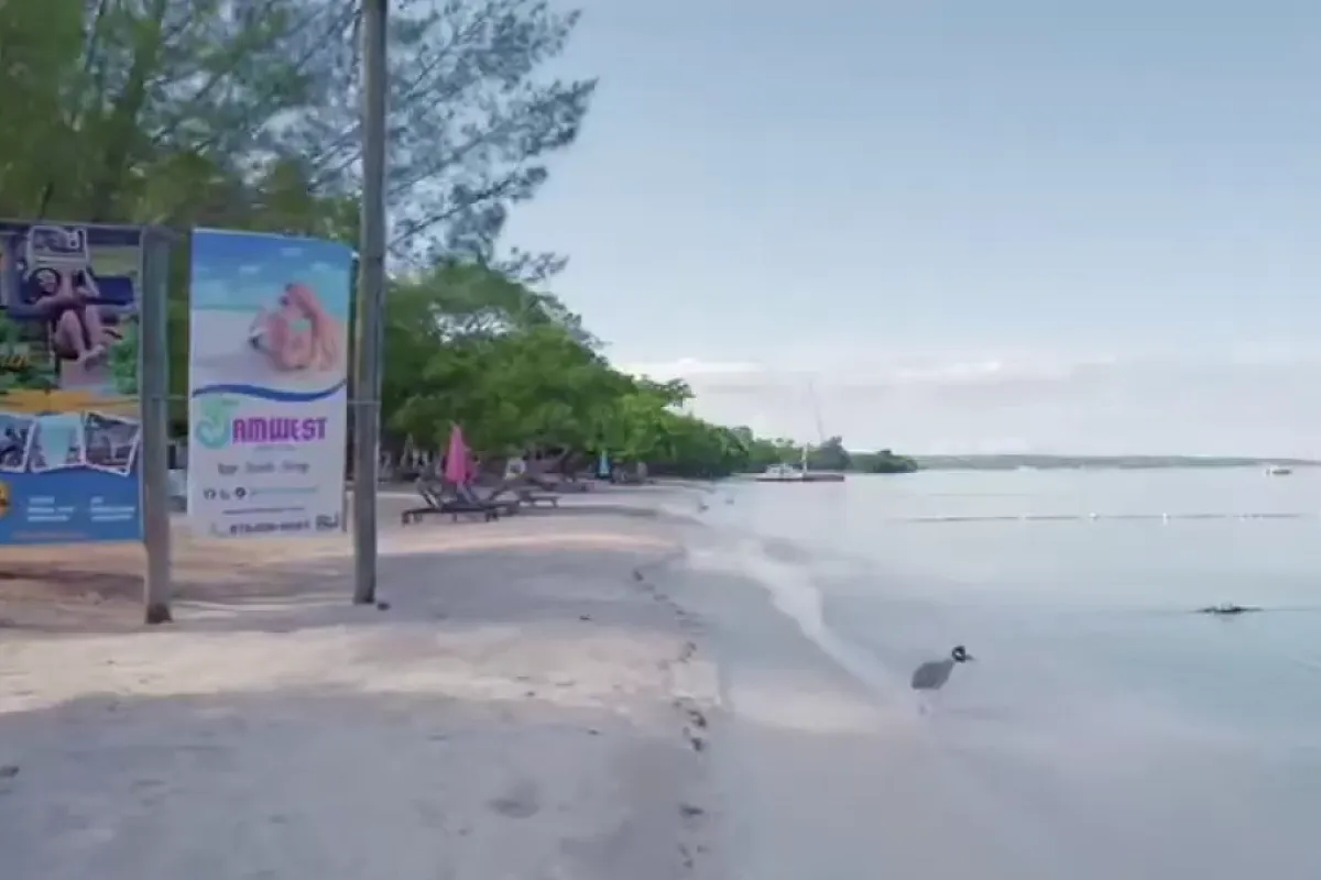 Jamwest Beach Park 🏖️