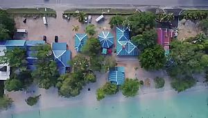 Jamwest Beach Park 🏖️