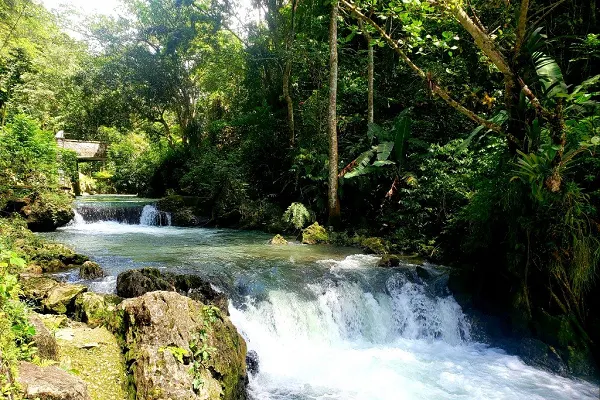 Noisy River