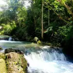 Noisy River