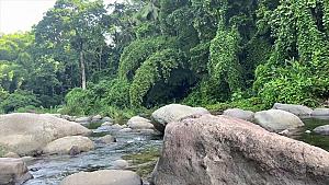 Wag Water River