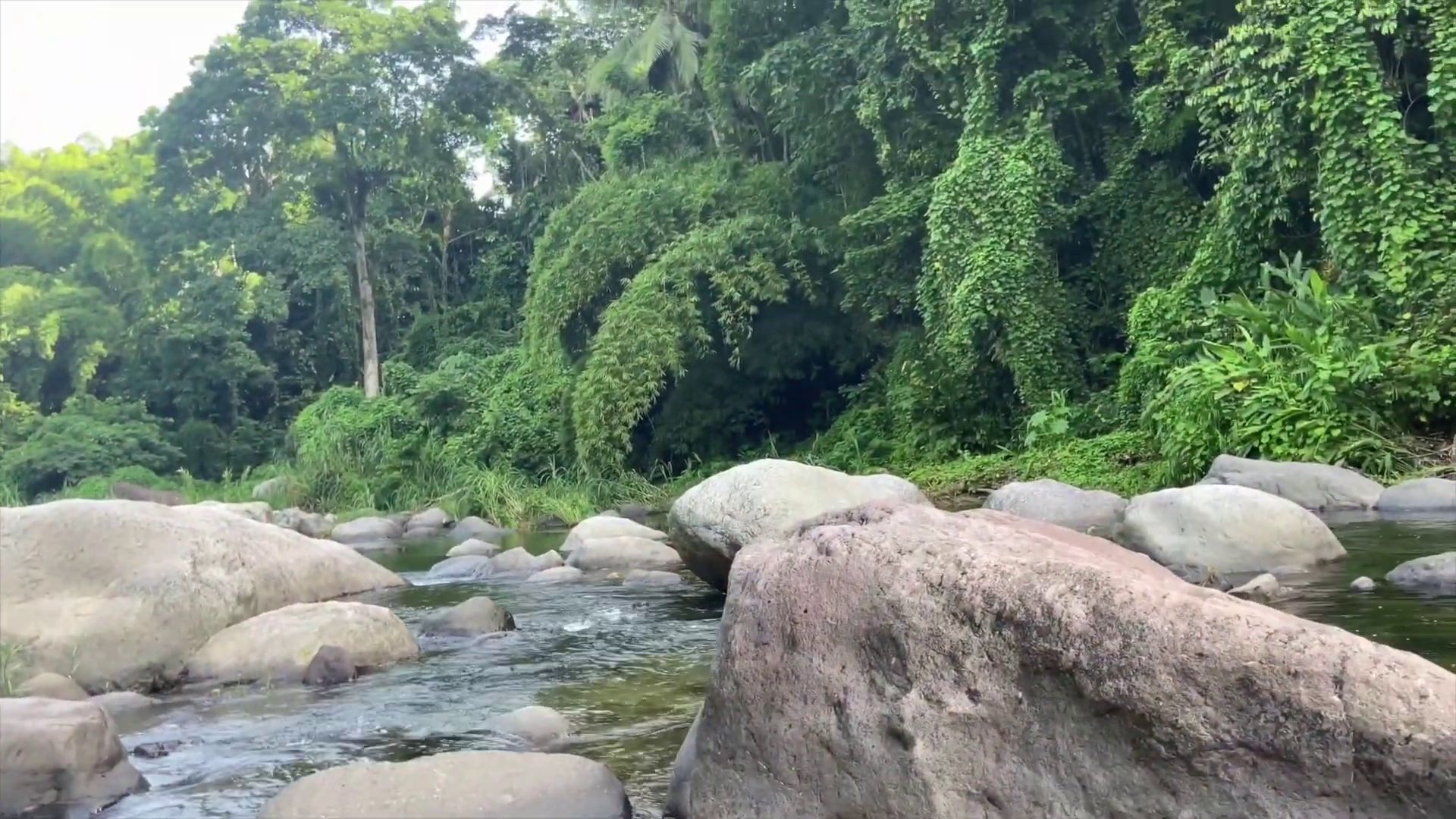 Wag Water River