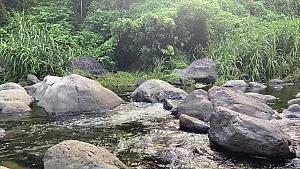 Wag Water River