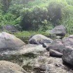 Wag Water River