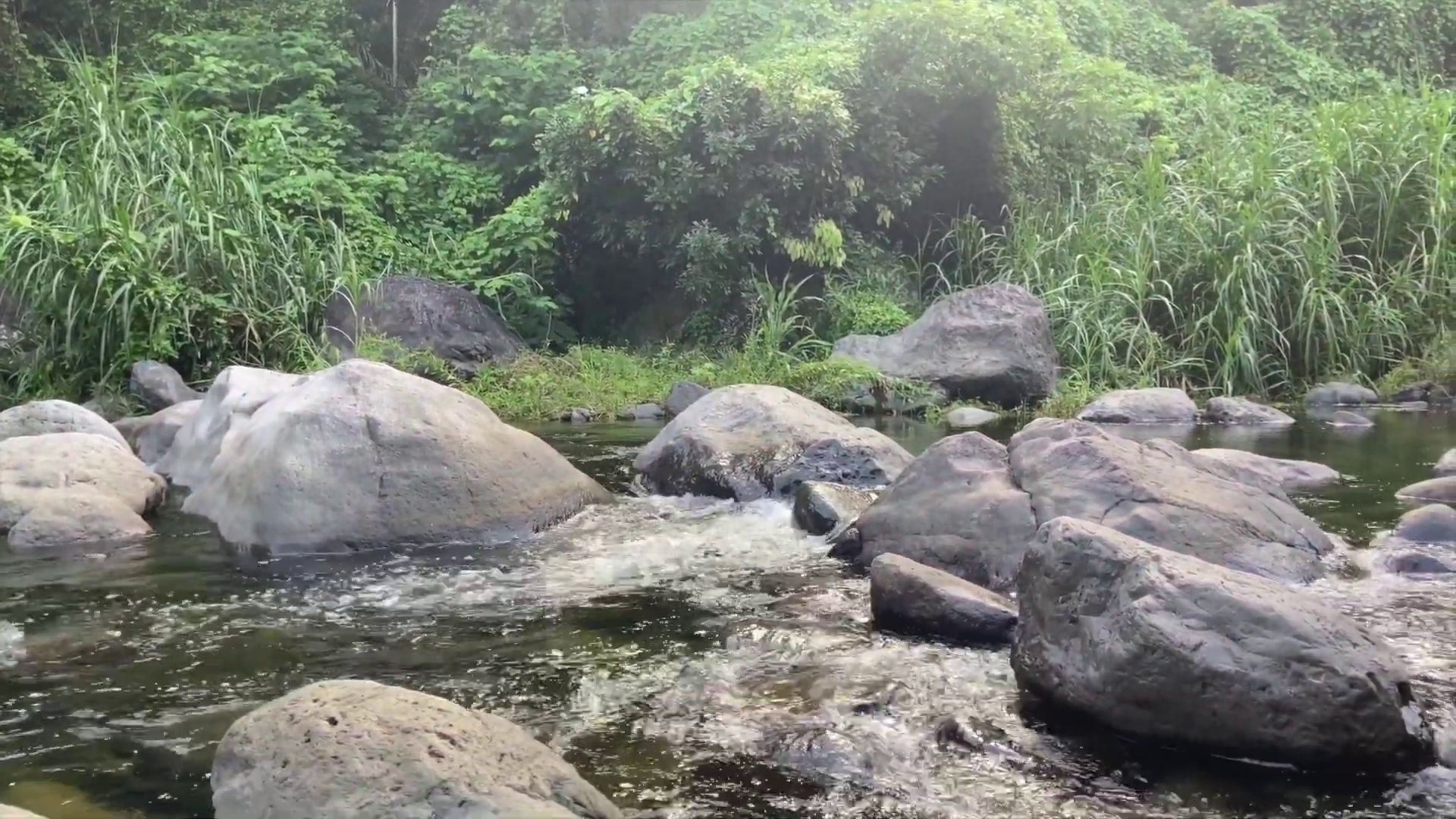 Wag Water River