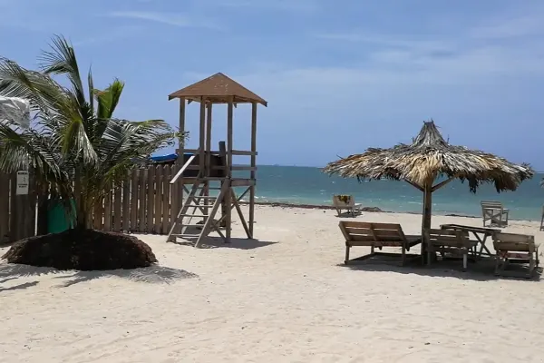 Waves Beach