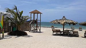 Waves Beach