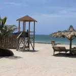 Waves Beach