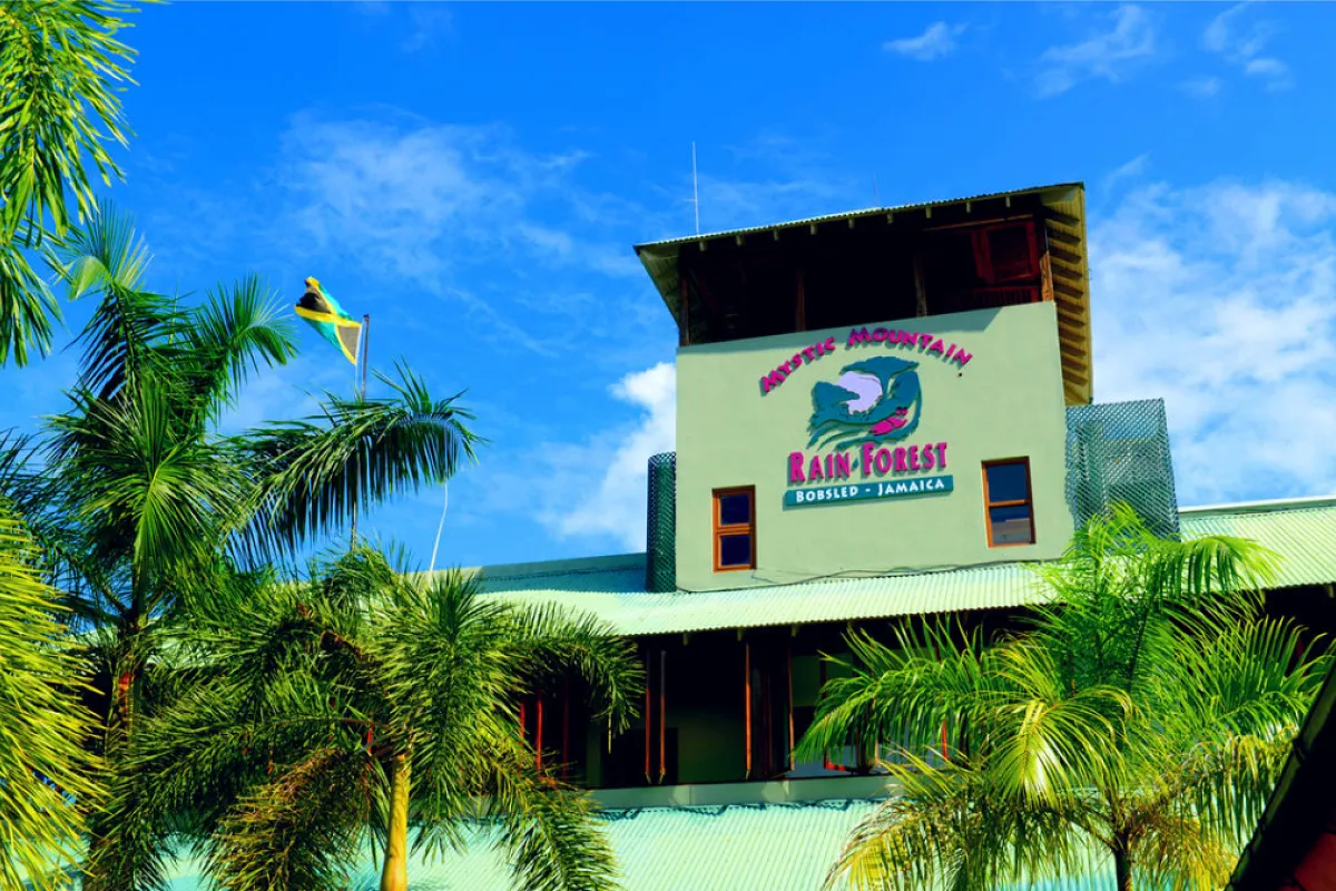Rainforest Adventures At Jamaica Mystic Mountain