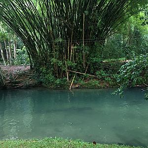 Thatch Hill River Park