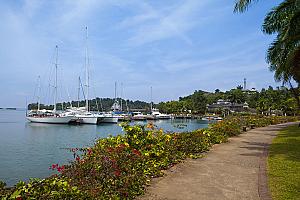 Errol Flynn Marina