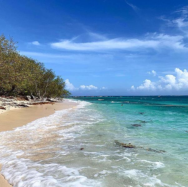 Lime Cay Beach