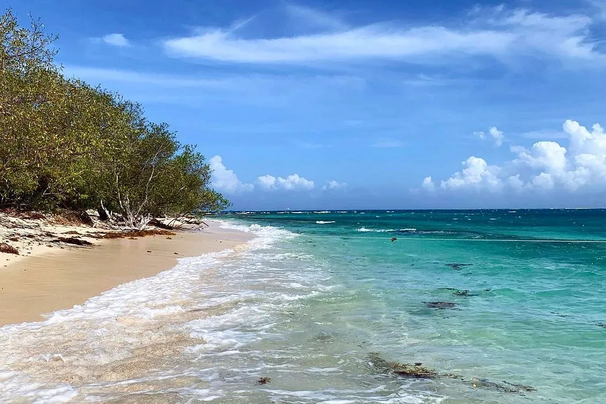 Lime Cay Beach