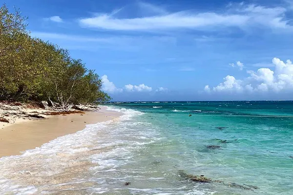 Lime Cay Beach