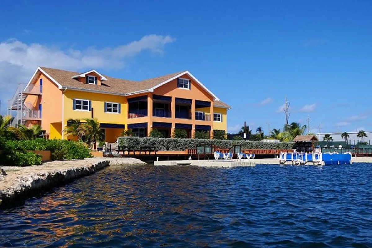 Dolphin Cove Ocho Rios