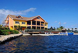 Dolphin Cove Ocho Rios