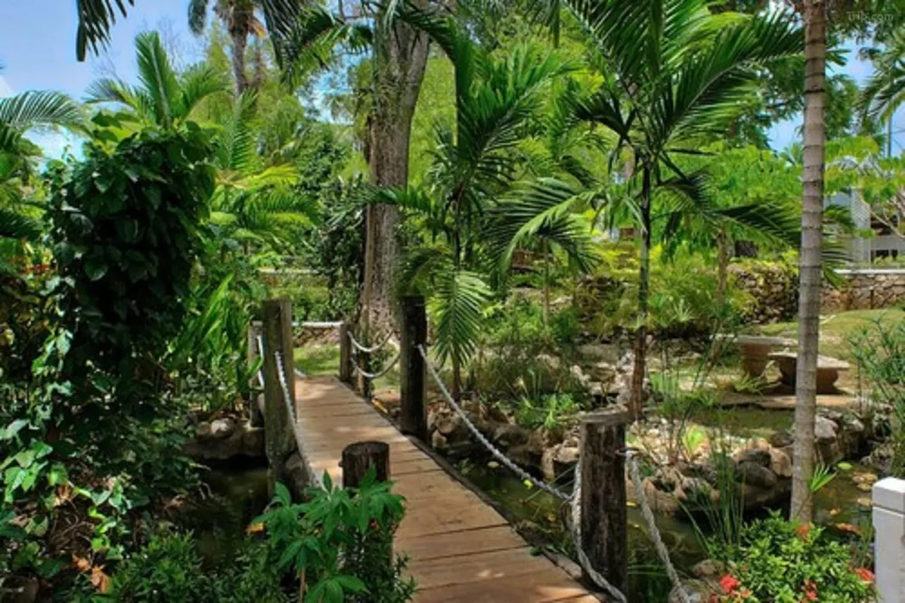 Hibiscus Lodge Hotel