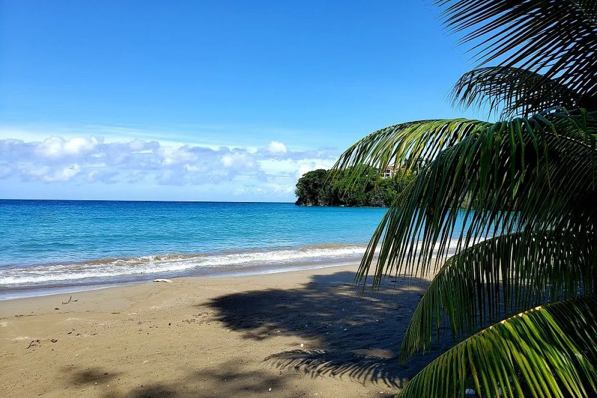 Sugarpot Ruins Beach Bar & Restaurant 🇯🇲🏖️