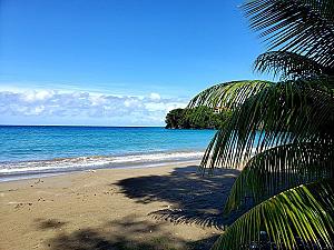 Sugarpot Ruins Beach Bar & Restaurant 🇯🇲🏖️