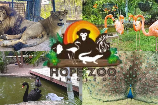 Hope Zoo & Garden