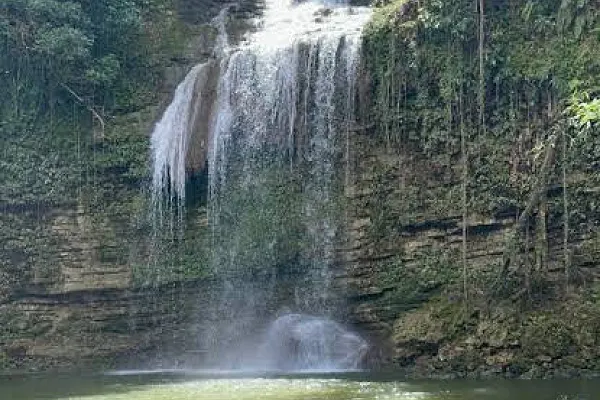 Johnny Falls