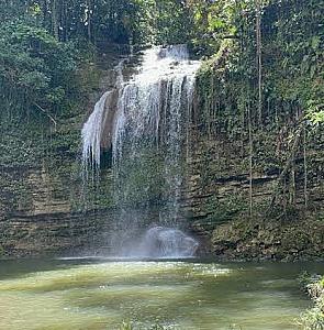 Johnny Falls