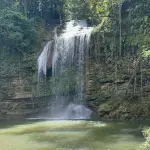 Johnny Falls