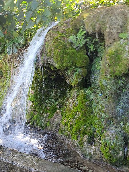 Roselle Falls