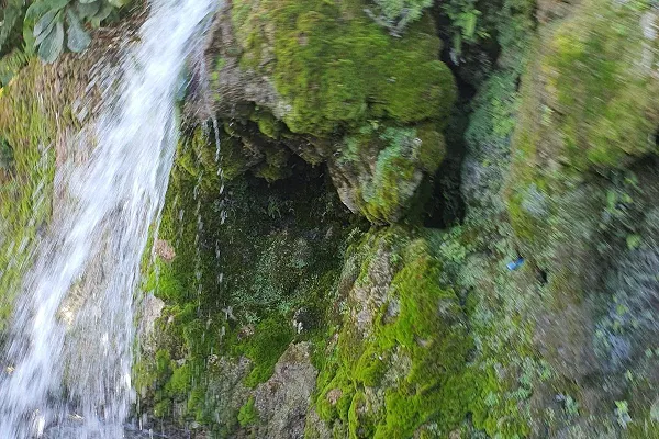 Roselle Falls