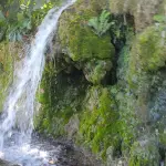 Roselle Falls