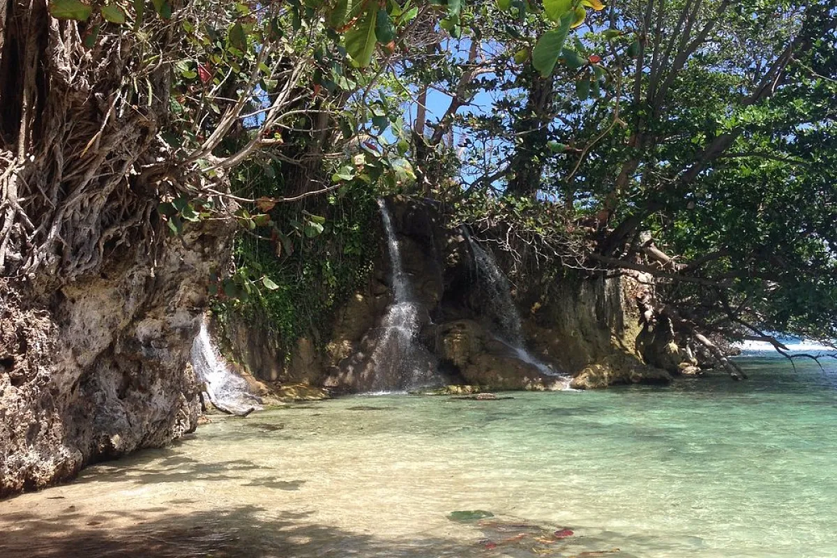Little Dun's River Falls
