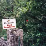 Rocklands Bird Sanctuary