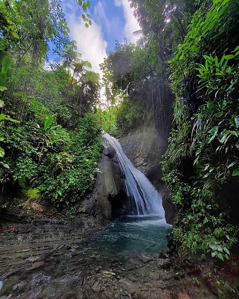 Millbank Falls