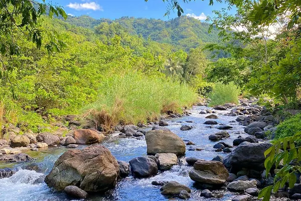 Swift River Portland