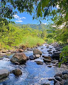 Swift River Portland