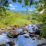 Swift River Portland