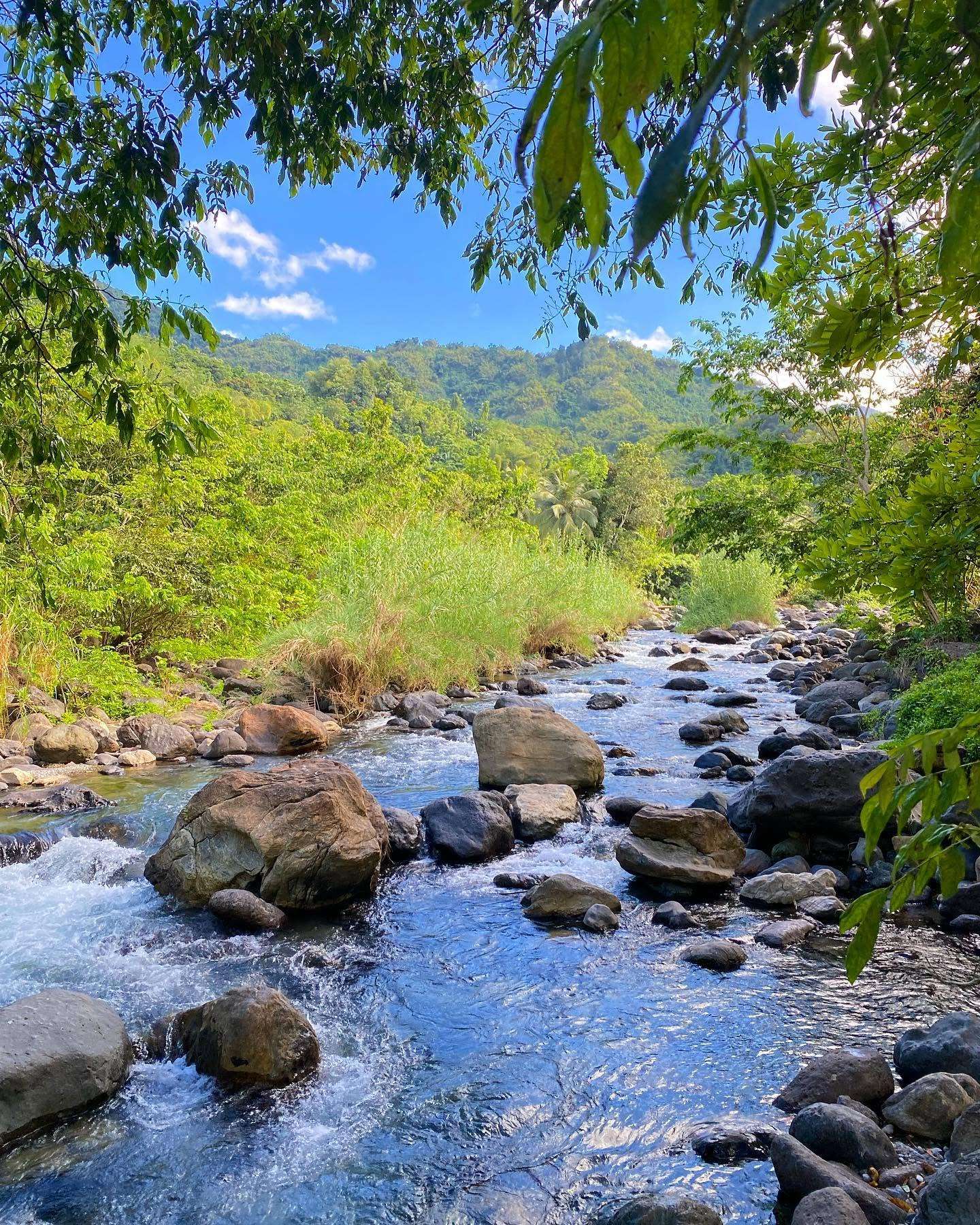 Swift River Portland