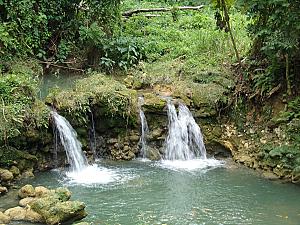 Breadnut Valley Falls