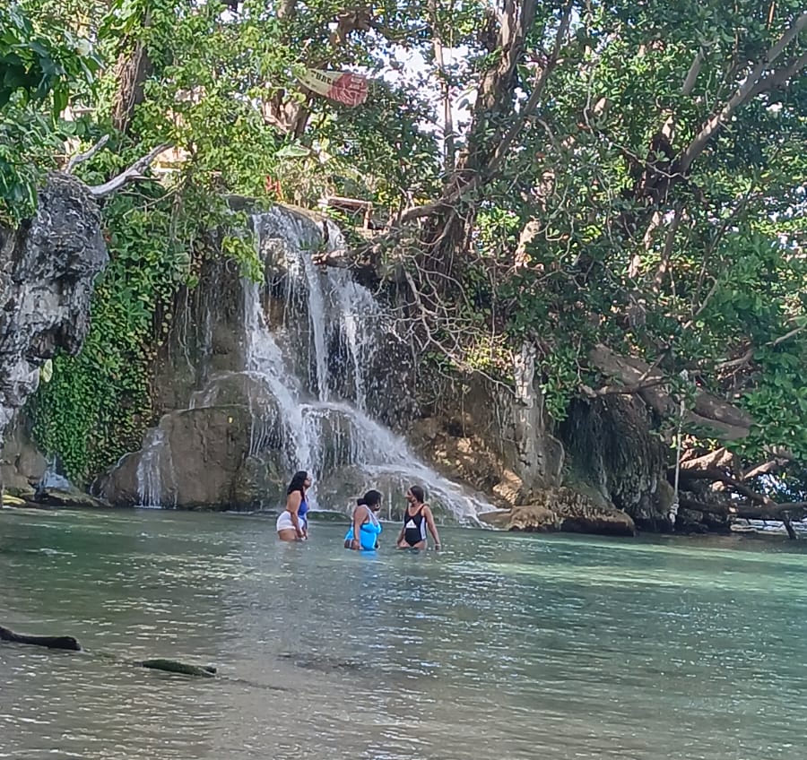 Little Dun's River Falls