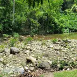 Rio Sambre River