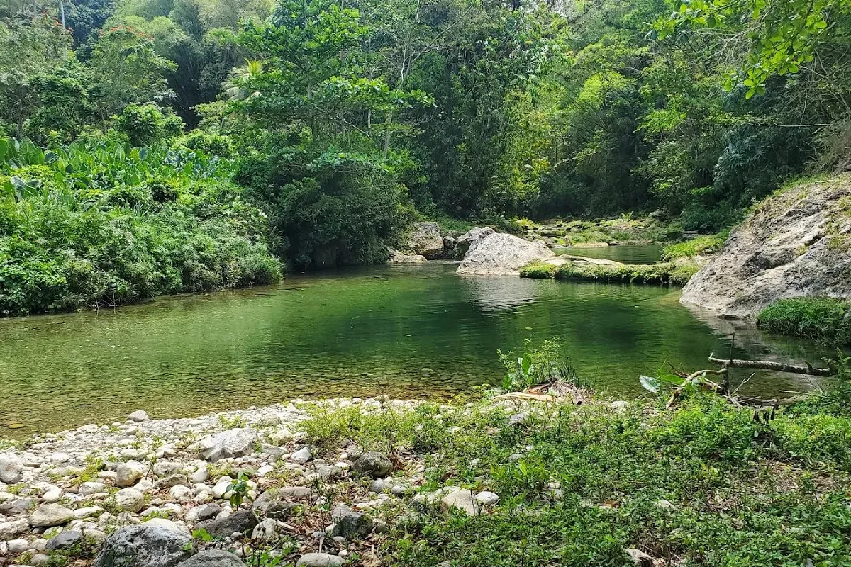 Rio Sambre River