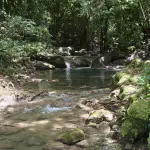 Twin Sisters River