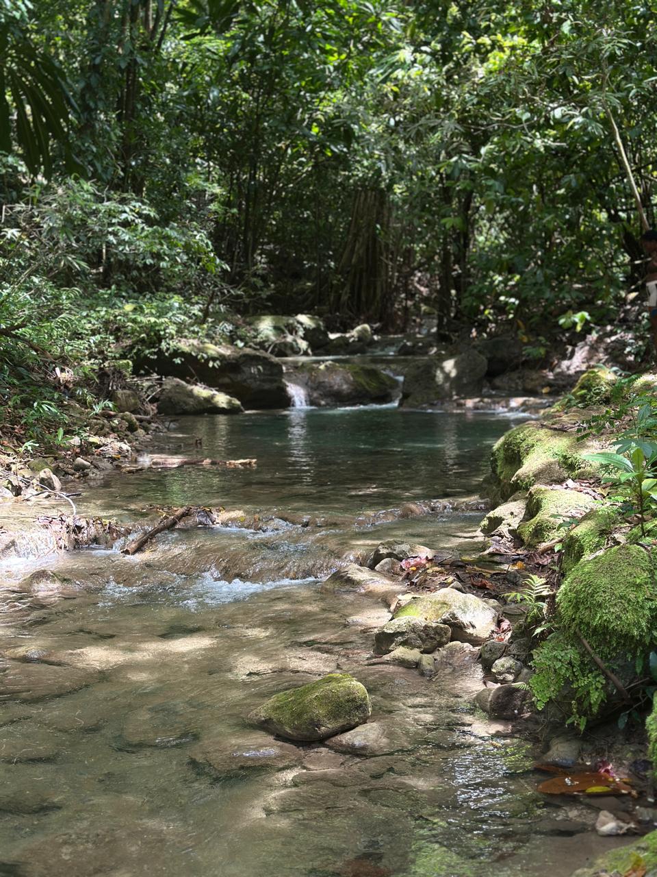 Twin Sisters River