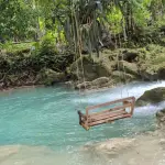 Spring Paradise River