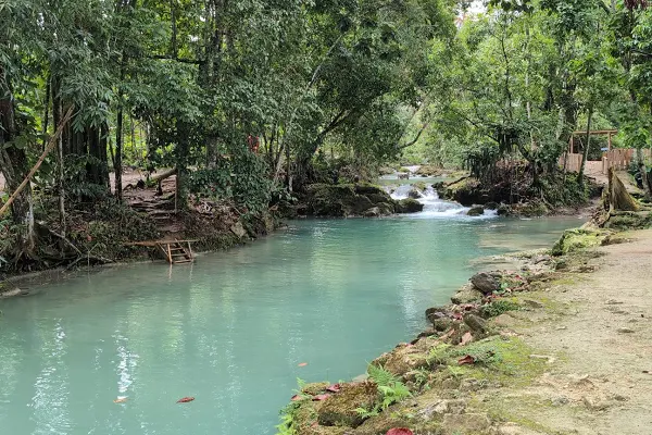 Spring Paradise River