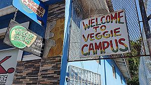 Veggie Campus
