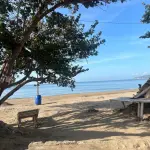 Portmore Harbour Beach